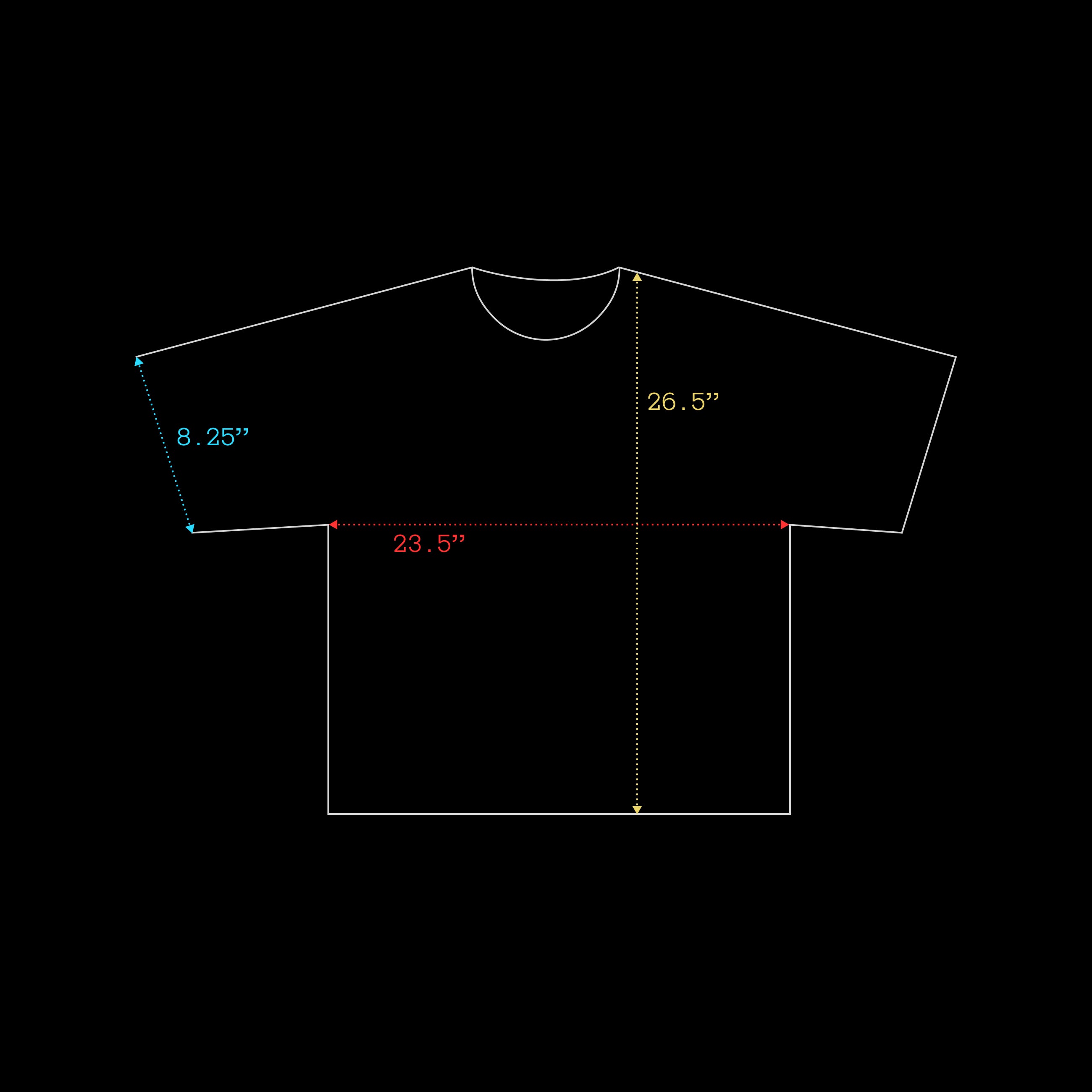 REW Box Tee [L]