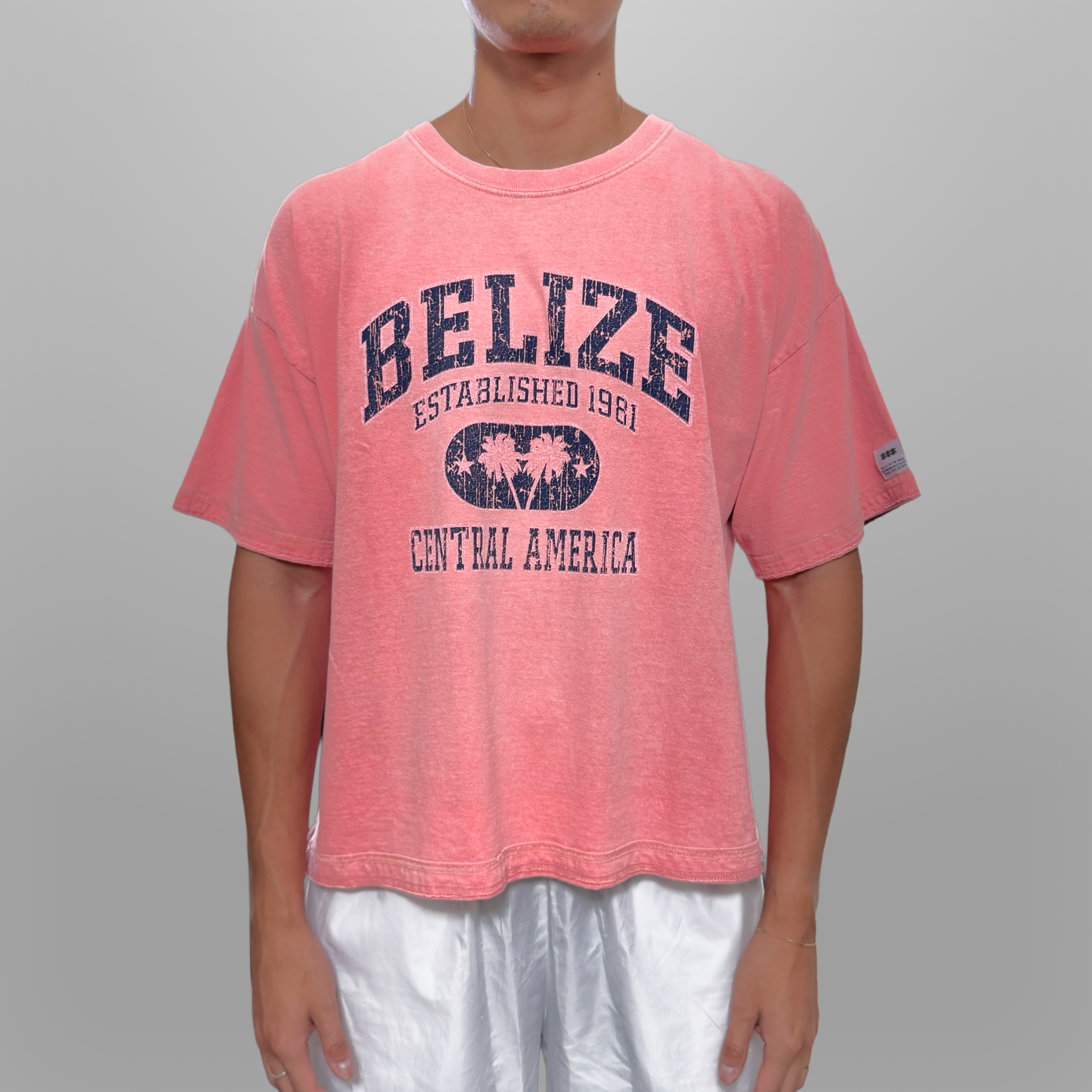 REW Box Tee [L]